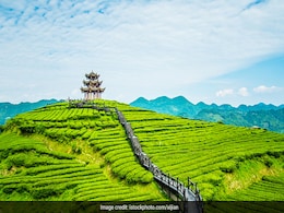 Travel tips : घूमने का बना रही हैं प्लान तो चले जाइए केरल के इन Hill stations, यहां जानिए उनके नाम Travel tips : घूमने का बना रही हैं प्लान तो चले जाइए केरल के इन Hill stations, यहां जानिए उनके नाम