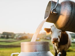 FSSAI Asks States To Deploy Mobile Testing Vans To Check Milk Adulteration