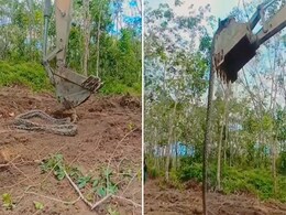 Video: जब 2O फीट लंबे अजगर से हुआ बुल्डोजर का सामना, देखते ही कांप जाएगी रूह Video: जब 2O फीट लंबे अजगर से हुआ बुल्डोजर का सामना, देखते ही कांप जाएगी रूह