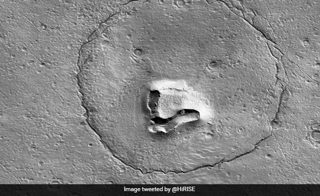 "Bear Face" Spotted On Mars As NASA Observes Rock Formation