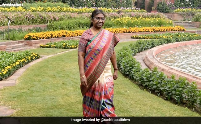 President Murmu To Visit Her Village, Simplipal National Park This Week
