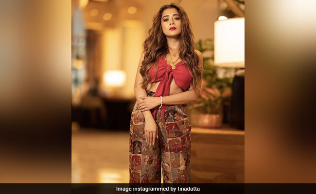 <i>Bigg Boss 16</i>: For Tina Datta, The Show Was A "Rocky Ride"