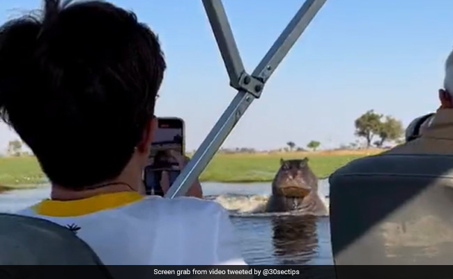 Angry Hippo Chases Speedboat Through Lake, Video goes viral