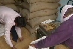 Food Grains Procurement Scam: Rs 60 Lakh Recovered In CBI Raids Food Grains Procurement Scam: Rs 60 Lakh Recovered In CBI Raids