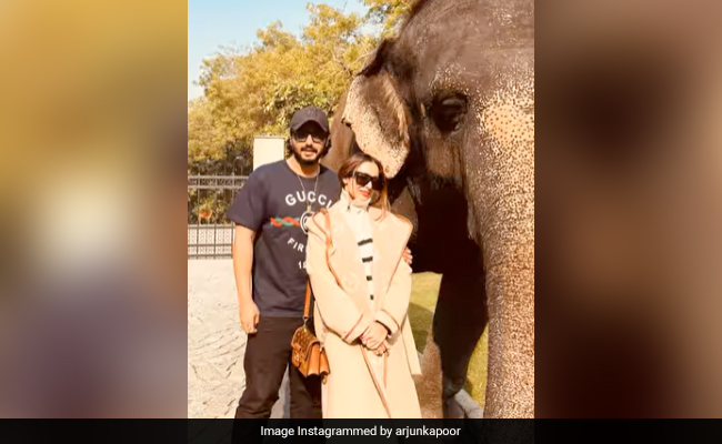 Arjun Kapoor Is Busy Looking Back At Ranthambore Memories With Malaika Arora