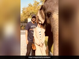 Arjun Kapoor Is Busy Looking Back At Ranthambore Memories With Malaika Arora Arjun Kapoor Is Busy Looking Back At Ranthambore Memories With Malaika Arora