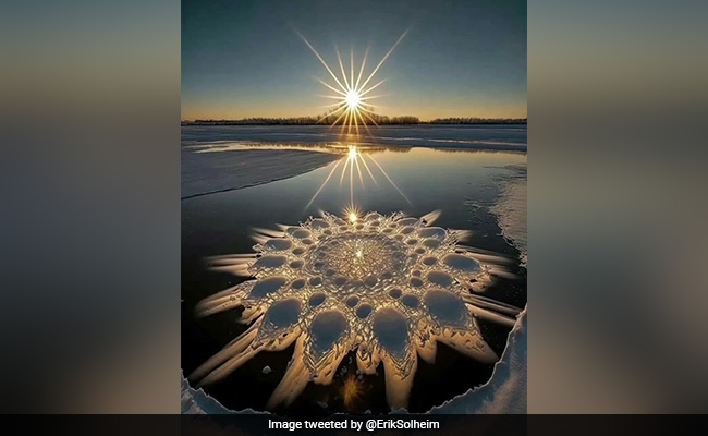 Photo Of Ice Flowers On A Chinese River Leaves Internet Amazed