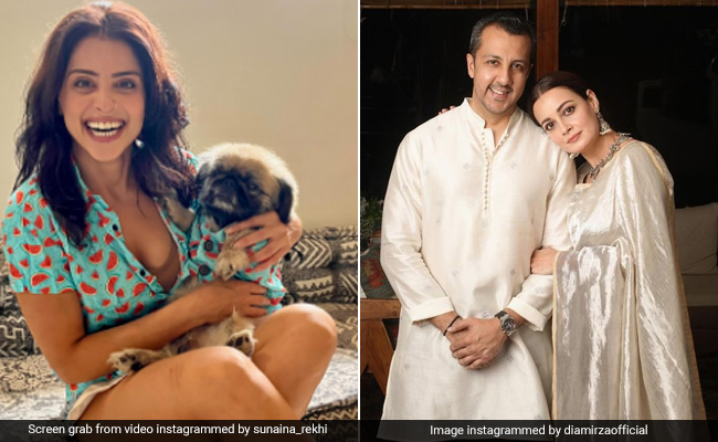 दीया मिर्जा को स्टाइल में कड़ी टक्कर देती हैं उनके पति की एक्स वाइफ, देखें सुनैना रेखी के ये 5 शानदार वीडियो