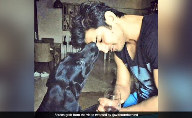 Sushant Singh Rajput's Pet Dog Fudge Dies, Actor's Sister Shares Heartfelt Post