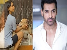 जॉन अब्राहम की वाइफ प्रिया हैं एनिमल लवर, कुत्ते को खाना खिलाते क्यूट वीडियो वायरल, फैंस लुटा रहे प्यार जॉन अब्राहम की वाइफ प्रिया हैं एनिमल लवर, कुत्ते को खाना खिलाते क्यूट वीडियो वायरल, फैंस लुटा रहे प्यार