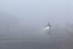 Dense Fog In Delhi, Several Flights Delayed Due To Low Visibility Dense Fog In Delhi, Several Flights Delayed Due To Low Visibility
