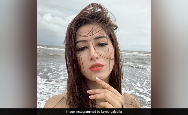 ट्रोल्स से निपटने पर बोलीं अभिनेत्री सोफिया परवीन- 'यह मेरे मेंटल हेल्थ को प्रभावित नहीं करता है'