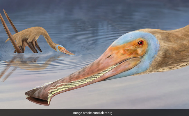 New Dinosaur Species With 400 Tiny Teeth Found In Germany