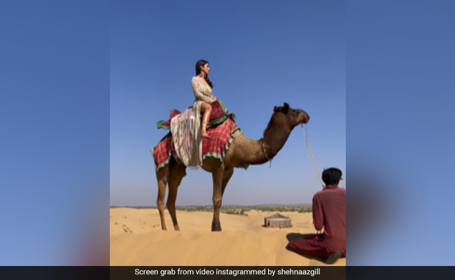 Shehnaaz Gill's Adorably Honest Reaction To A Camel Ride