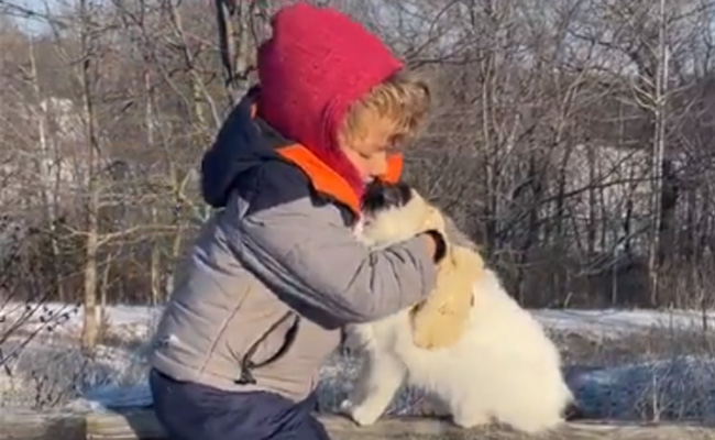 नए साल के मौके पर बच्चे ने बिल्ली को गले लगाकर लुटाया प्यार, लोगों ने कहा- दोनों है पक्के यार