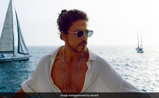 Shah Rukh Khan's Epic Reply To Why He Didn't Promote <i>Pathaan</i>: "<i>Sher</i> Interview..."