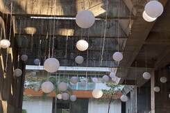 Amid Athiya Shetty-KL Rahul's Wedding Rumours, Cricketer's Mumbai House Gets Decorated Amid Athiya Shetty-KL Rahul's Wedding Rumours, Cricketer's Mumbai House Gets Decorated