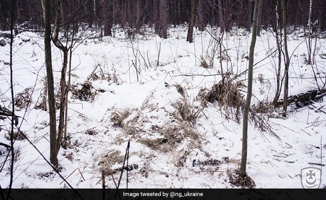 Ukraine Military Shares Photo Of Sniper Hiding In Plain Sight, Internet Impressed