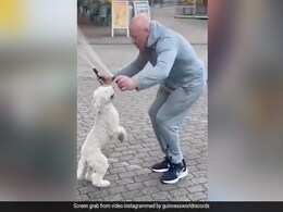 Video Of Dog With World Record For Most Skips On Hind Legs Goes Viral Video Of Dog With World Record For Most Skips On Hind Legs Goes Viral