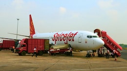 SpiceJet Flight To Leh Returns To Delhi After Bird Hits Engine