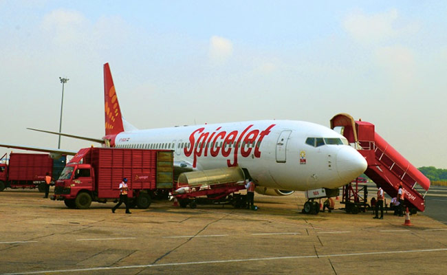 SpiceJet Flight To Leh Returns To Delhi After Bird Hits Engine