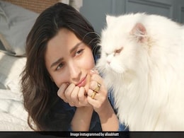 For Alia Bhatt, It's "Not So Happy Sunday" As She Gets Ignored By Her Pet Cat Edward. Here's Proof For Alia Bhatt, It's "Not So Happy Sunday" As She Gets Ignored By Her Pet Cat Edward. Here's Proof