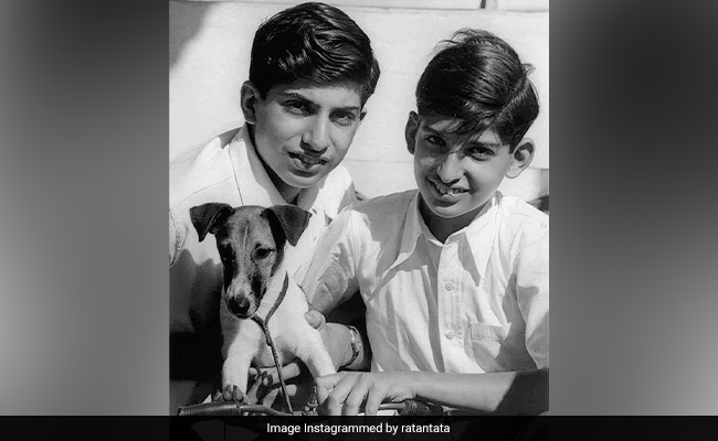 Ratan Tata Shares Throwback Pic With His Brother Jimmy Naval Tata: ''Those Were Happy Days''