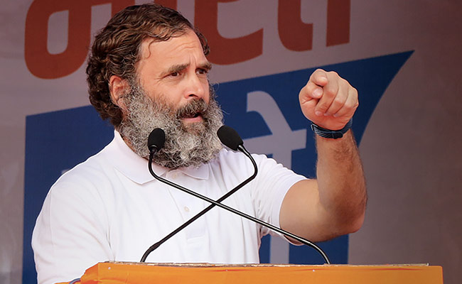 Lt Governor Should Apologise For Remarks On Kashmiri Pandits: Rahul Gandhi