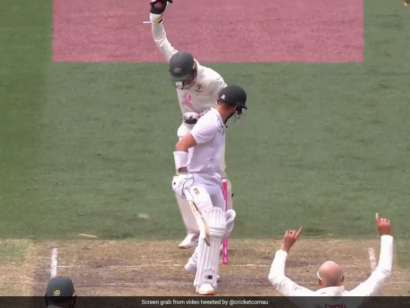 Watch: South Africa Star Decides To Leave Nathan Lyon Delivery, Gets Bowled