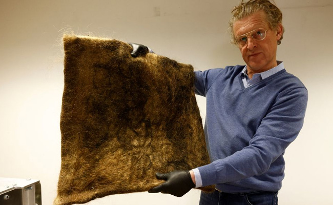 This Belgian NGO Is Recycling Human Hair To Protect The Environment