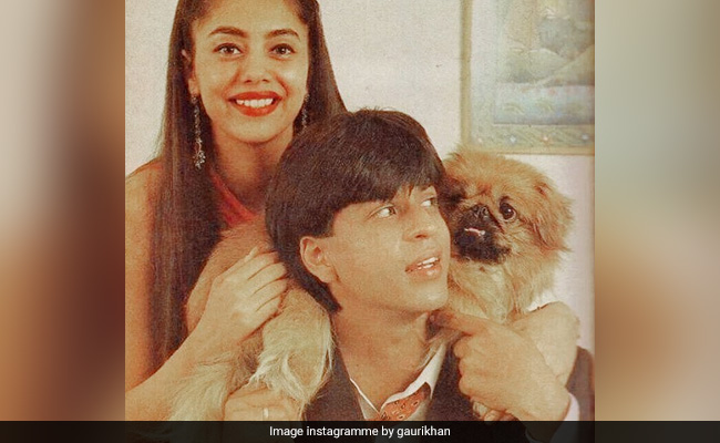 Of Course Gauri Made It To Shah Rukh Khan's Twitter Session. Question - "First Girlfriend?"