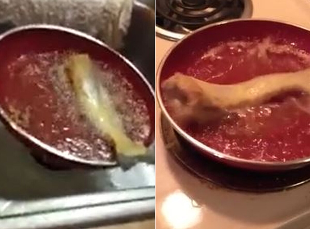 Wait, What? Fish Comes To Life On Being Put In Hot Oil. Watch ...