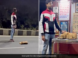 बीच सड़क पर बेसुध पड़ा था कुत्ता, रास्ते से जा रहे शख्स ने किया कुछ ऐसा, हर कोई कर रहा तारीफ बीच सड़क पर बेसुध पड़ा था कुत्ता, रास्ते से जा रहे शख्स ने किया कुछ ऐसा, हर कोई कर रहा तारीफ