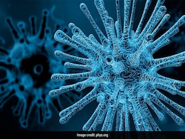 Virovore: Scientists Discover An Organism That Eats Viruses Virovore: Scientists Discover An Organism That Eats Viruses