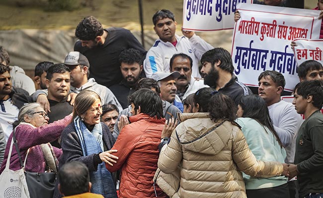 CPM's Brinda Karat Meets Wrestlers Demanding Action Against WFI Chief