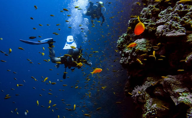 Top 12 Adventure Sports In India To Get Your Adrenaline Rushing