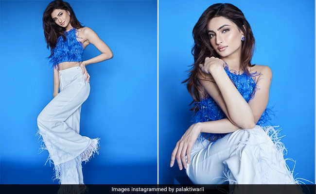 We Like The Midweek Blues That Palak Tiwari's Feathery Top, Pants Bring