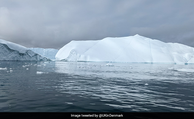 Scientists Discover Giant Virus On Greenland Ice Sheet, Could Slow Down Melting