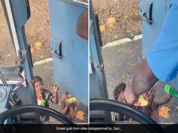सड़क किनारे घूमते बेघर बच्चों को बस ड्राइवर ने दिए बिस्कुट के पैकेट, उनकी मुस्कुराहट देख दिल पिघल जाएगा सड़क किनारे घूमते बेघर बच्चों को बस ड्राइवर ने दिए बिस्कुट के पैकेट, उनकी मुस्कुराहट देख दिल पिघल जाएगा