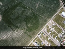 ये किसान मेसी का निकला बहुत बड़ा फैन, खेत में ऐसे उगाई फसल, बन गई 'लियोनेल मेसी' की तस्वीर ये किसान मेसी का निकला बहुत बड़ा फैन, खेत में ऐसे उगाई फसल, बन गई 'लियोनेल मेसी' की तस्वीर