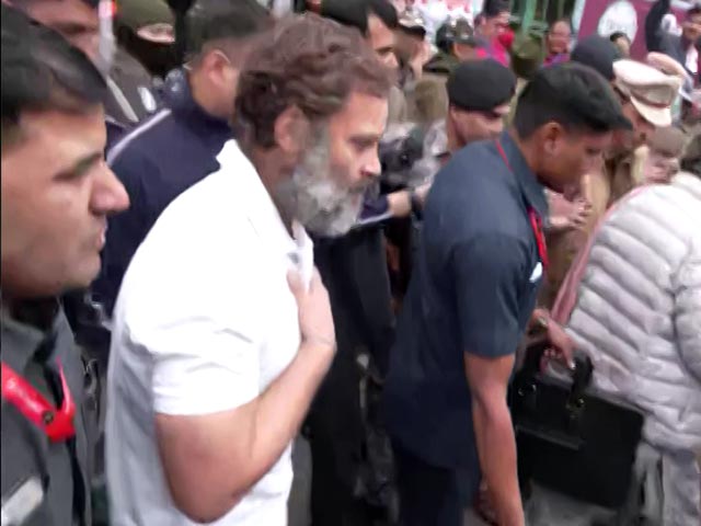 Rahul Gandhi's Bharat Jodo Yatra Resumes Today After 9-Day Break