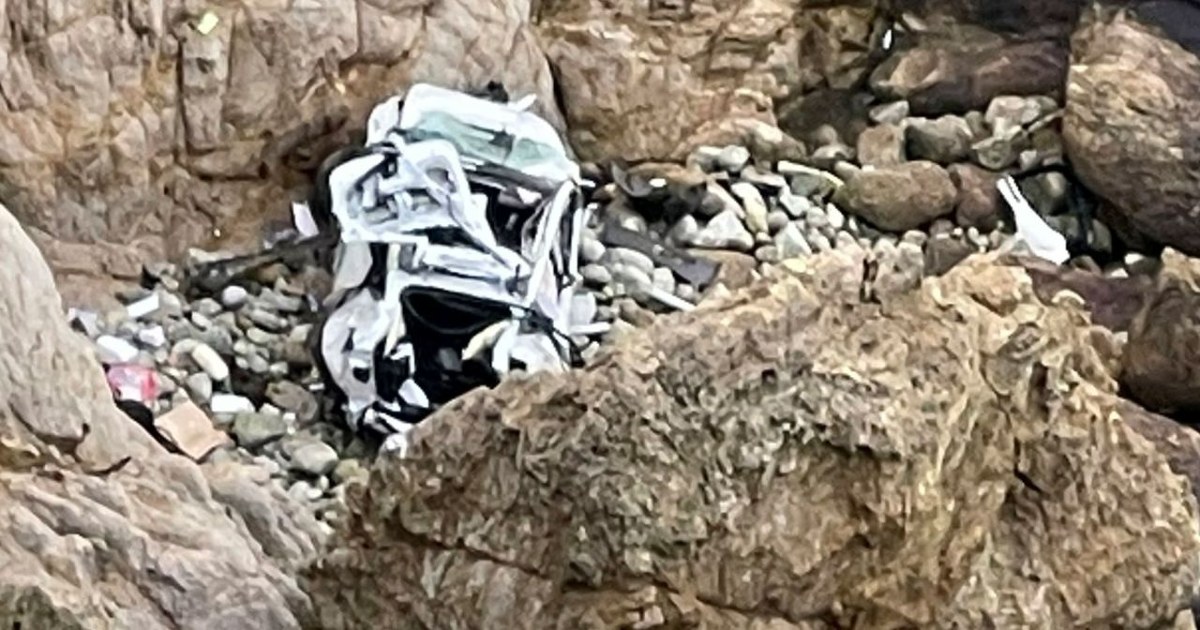 Indian-Origin Man In US Who Drove Tesla Off Cliff With Family Inside Faces Attempted Murder Charge