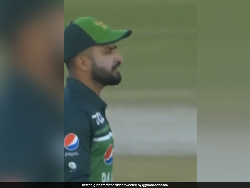 "<i>Jaan Ke</i> Single <i>Karaya...</i>": Babar Azam Yells At Mohammad Nawaz During Pakistan's 2nd ODI Against New Zealand. Watch
