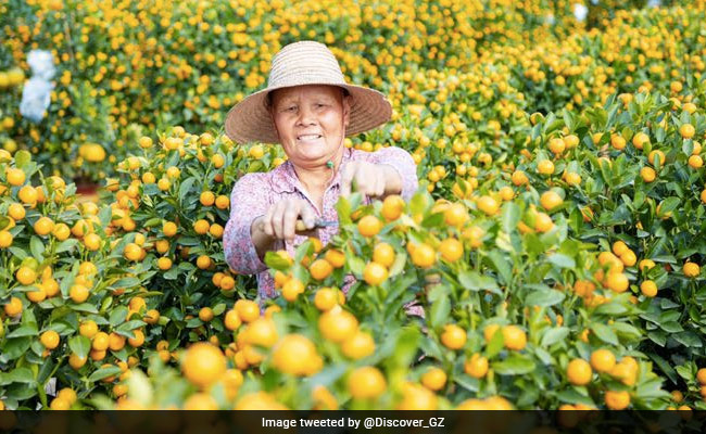 Women Work Harder And More Intensively Than Men: Study