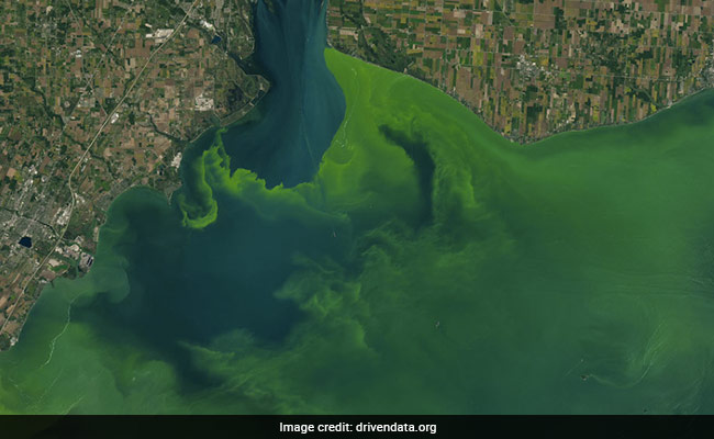 NASA Is Offering Cash Prizes For Finding Toxic Algal Blooms In Space Pictures. See Details