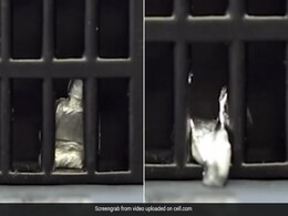 Scientists Create Shapeshifting Robot That Can Liquify And Regain Shape Scientists Create Shapeshifting Robot That Can Liquify And Regain Shape