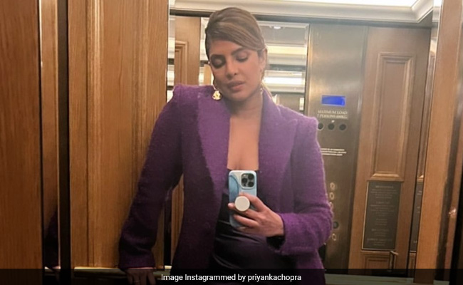 Priyanka Chopra "Elevates" Her Selfie Game In A Purple Dress And Overcoat