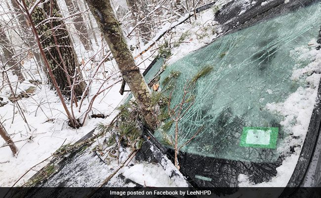 US Driver Narrowly Escapes After Tree Pierces Through Car Windshield
