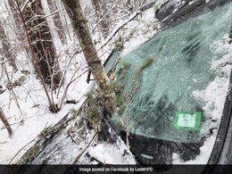 US Driver Narrowly Escapes After Tree Pierces Through Car Windshield US Driver Narrowly Escapes After Tree Pierces Through Car Windshield