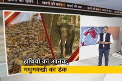 हाथियों को गांव में आने से रोकने के लिए अपनाई जा रही बी-फेंसिंग की रणनीति  हाथियों को गांव में आने से रोकने के लिए अपनाई जा रही बी-फेंसिंग की रणनीति